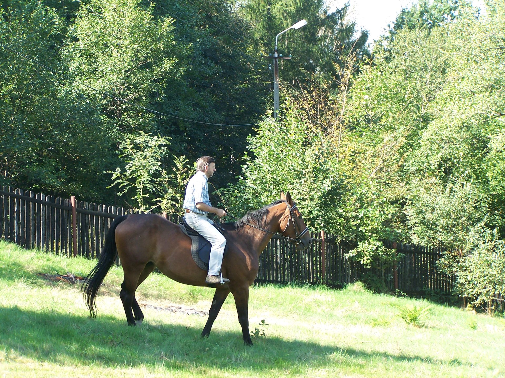 Porąbka
